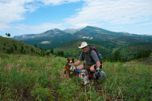 Pups and the Peaks