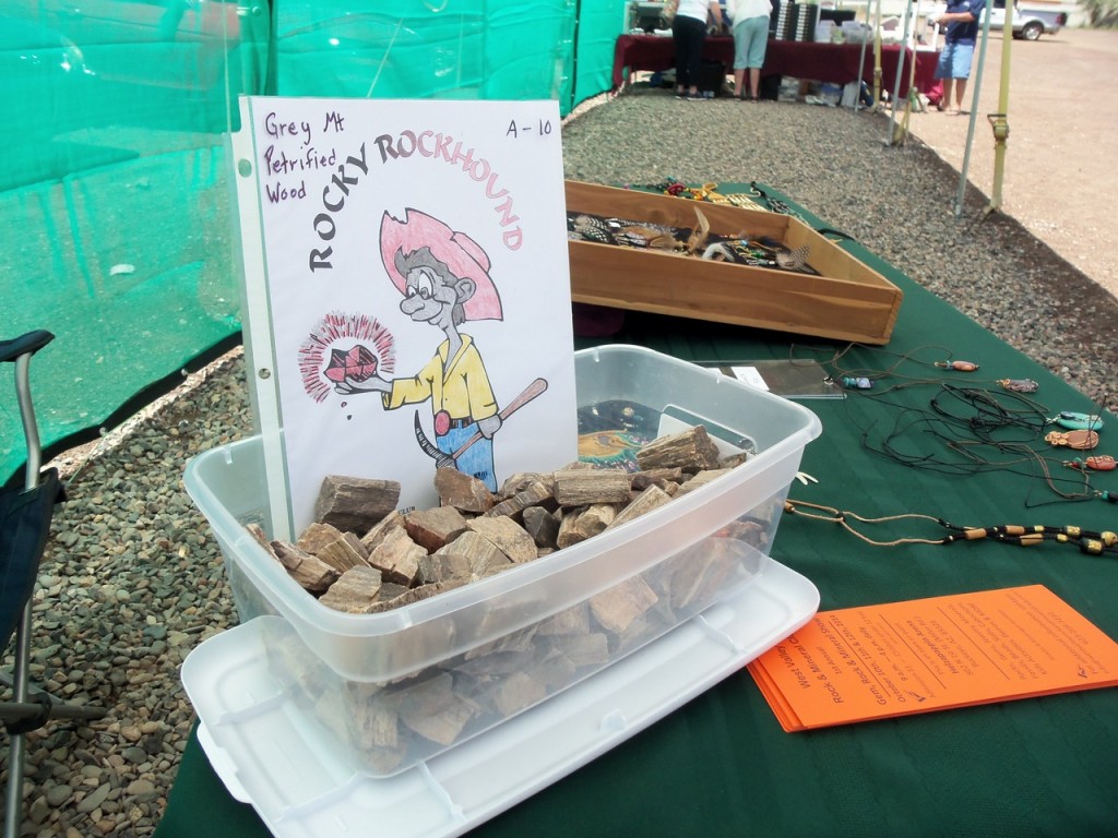 Kids are on a scavenger hunt to collect rock samples from show vendors. I have the petrified wood.