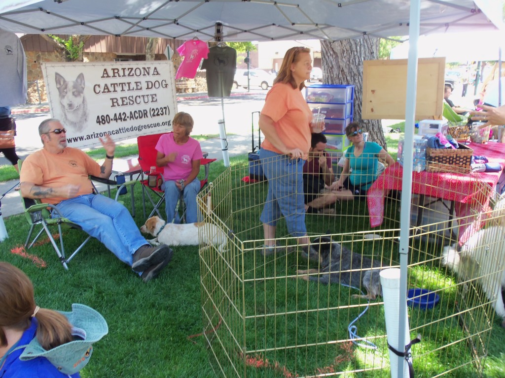 Pets in the Pines