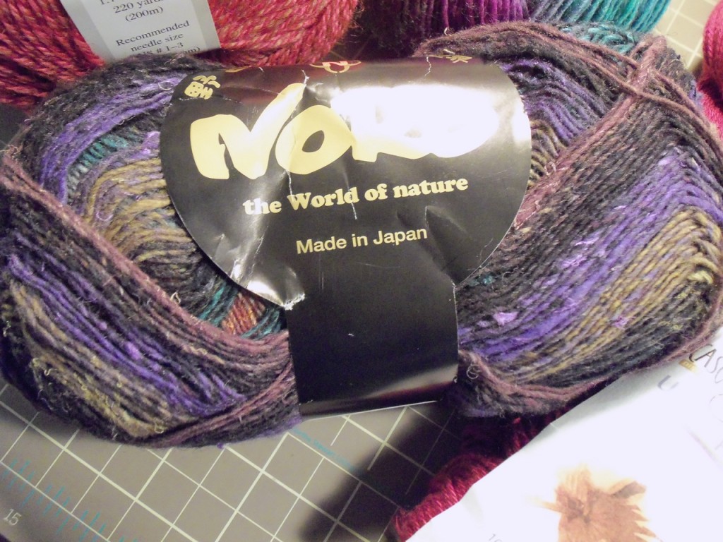 Noro Taiyo Sock, 22