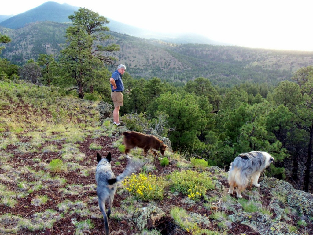 Checking out the view