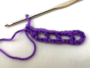 Chain 2, slip stitch into end.