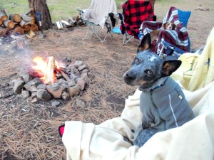 Camp near the Piedra River