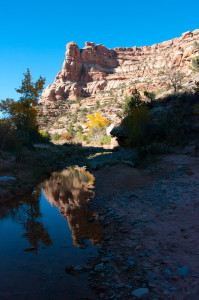 Arch Canyon