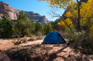 Arch Canyon