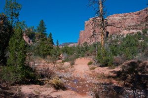 Arch Canyon