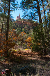 Arch Canyon