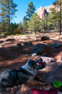 Arch Canyon