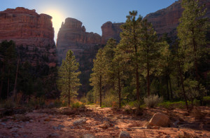 Arch Canyon