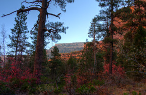 Arch Canyon