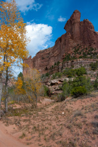 Arch Canyon