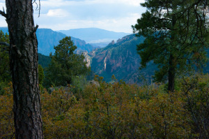 View down Sycamore Canyon from Kelsey Trail